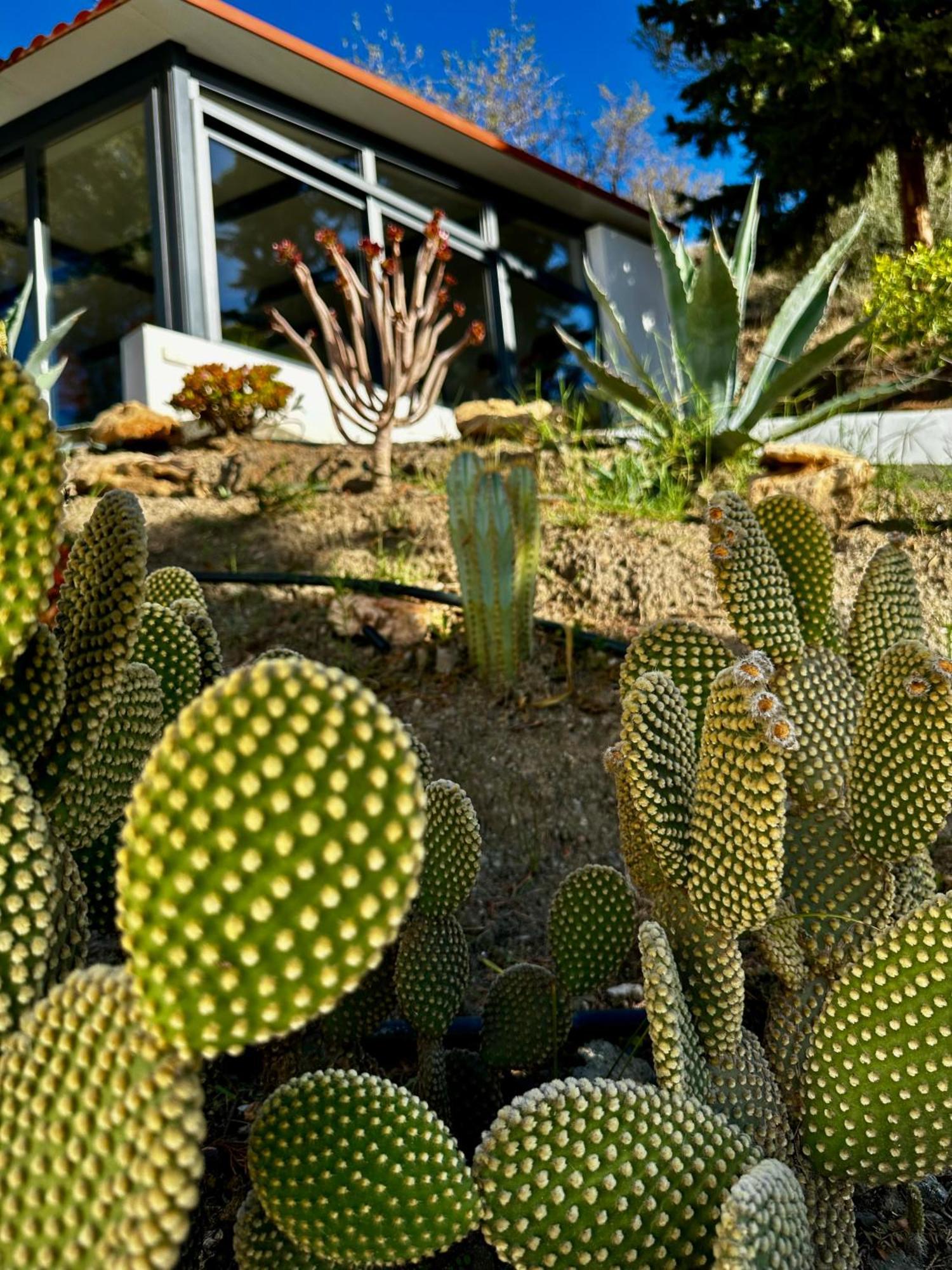 Las Filipinas, Apartment Lemoni Torrox Exteriér fotografie